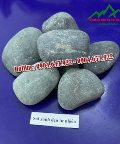 soi-xanh-den-tu-nhien-Cong-ty-Da-Voi-Ha-Nam2