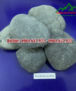 soi-xanh-den-tu-nhien-Cong-ty-Da-Voi-Ha-Nam3