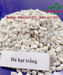 da-hat-trang-Cong-ty-Khoang-San-Da-Voi-Ha-Nam