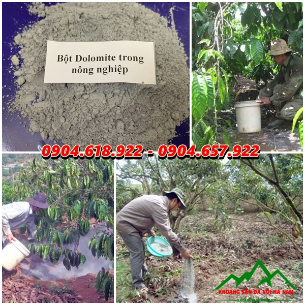 Công dụng Dolomite làm phân bón cây trồng