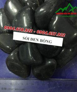 Sỏi đen bóng