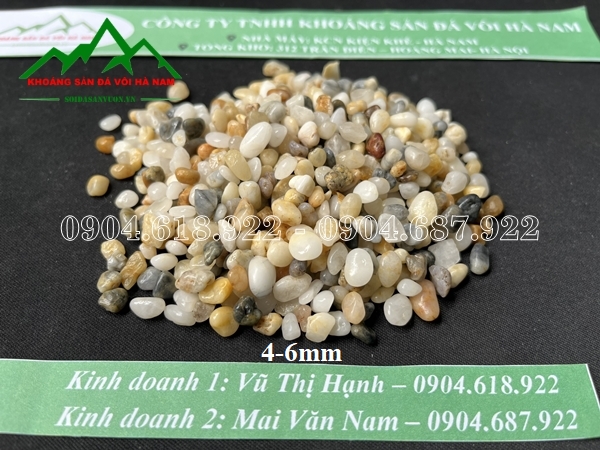 ban-soi-bien-tai-ha-noi (11)