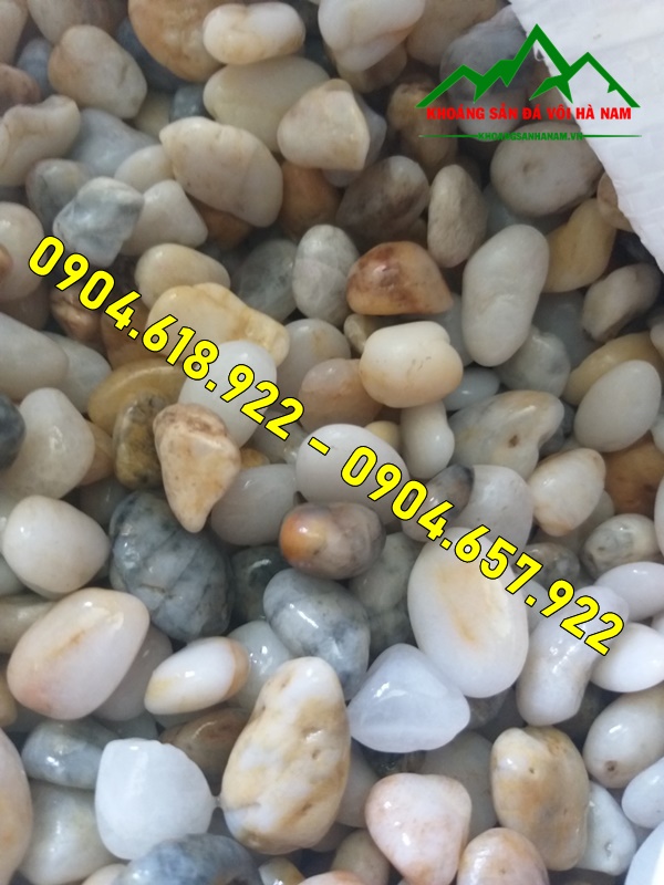 ban-soi-bien-tai-ha-noi (13)