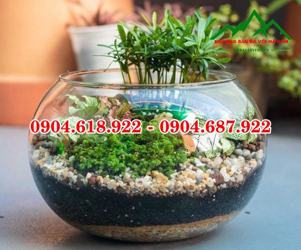 ban-soi-bien-tai-ha-noi (4)