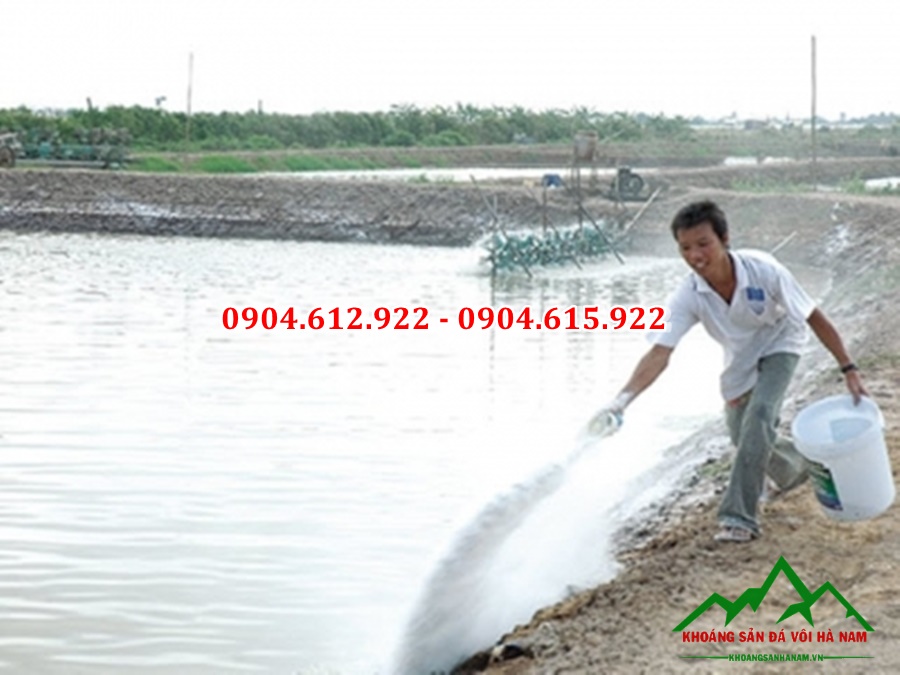 vôi khử trùng ao hồ