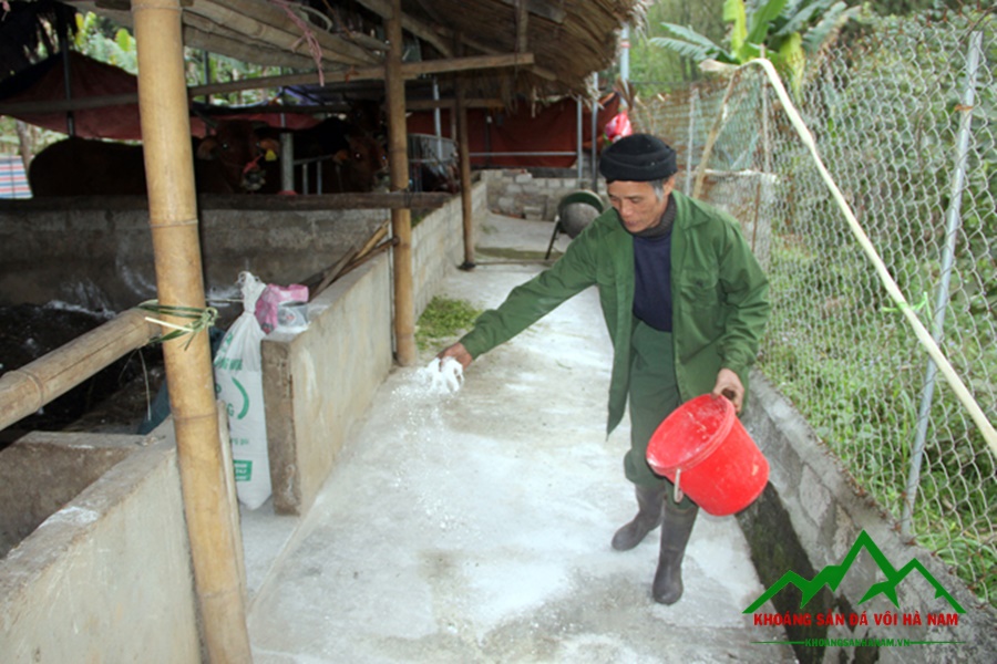 mua khử trùng chuồng trại ở đâu