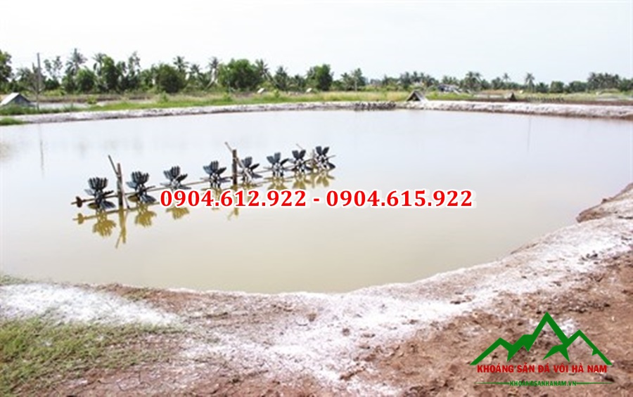 mua voi bột khử trùng ở đâu