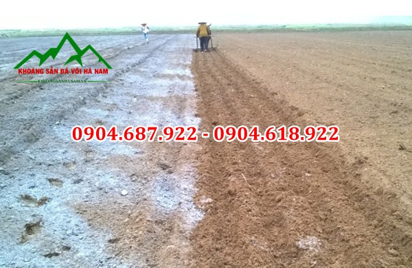 Vôi bột nông nghiệp