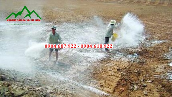 Vôi nông nghiệp cải tạo đất