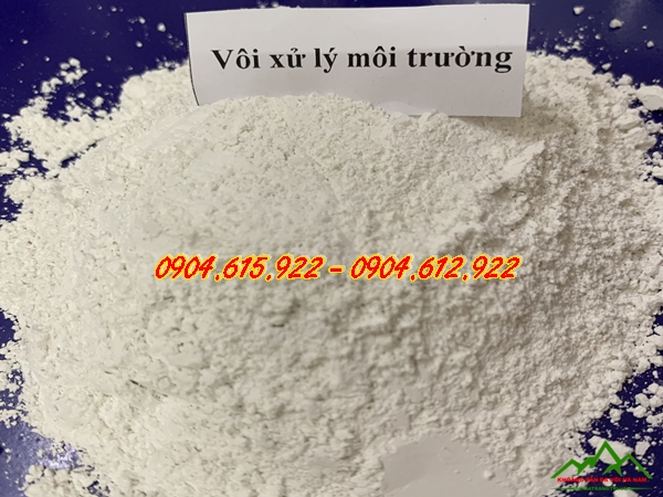 cung-cap-voi-bot-gia-tot-o-kien-giang3