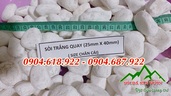 nha-cung-cap-soi-trang-trang-tri-gia-re (3)