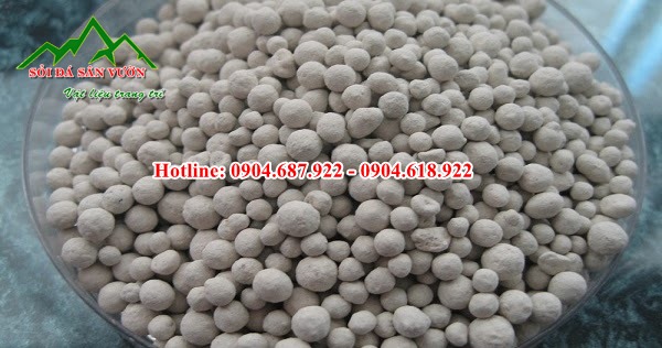 phân phối Zeolite hạt