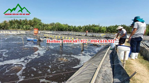 Zeolite hạt trong nuôi trồng tôm