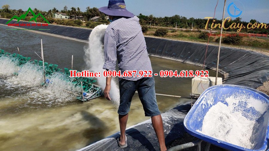 hướng dẫn sử dụng zeolite