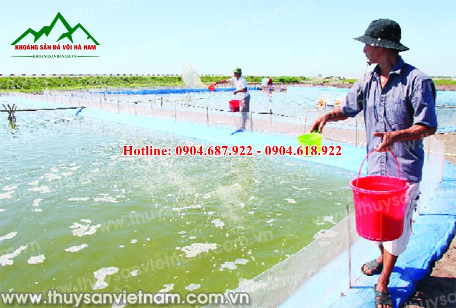 Sử dụng zeolite hạ amonia