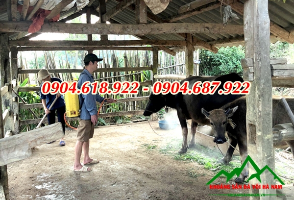 tai-sao-voi-co-tac-dung-khu-trung (3)