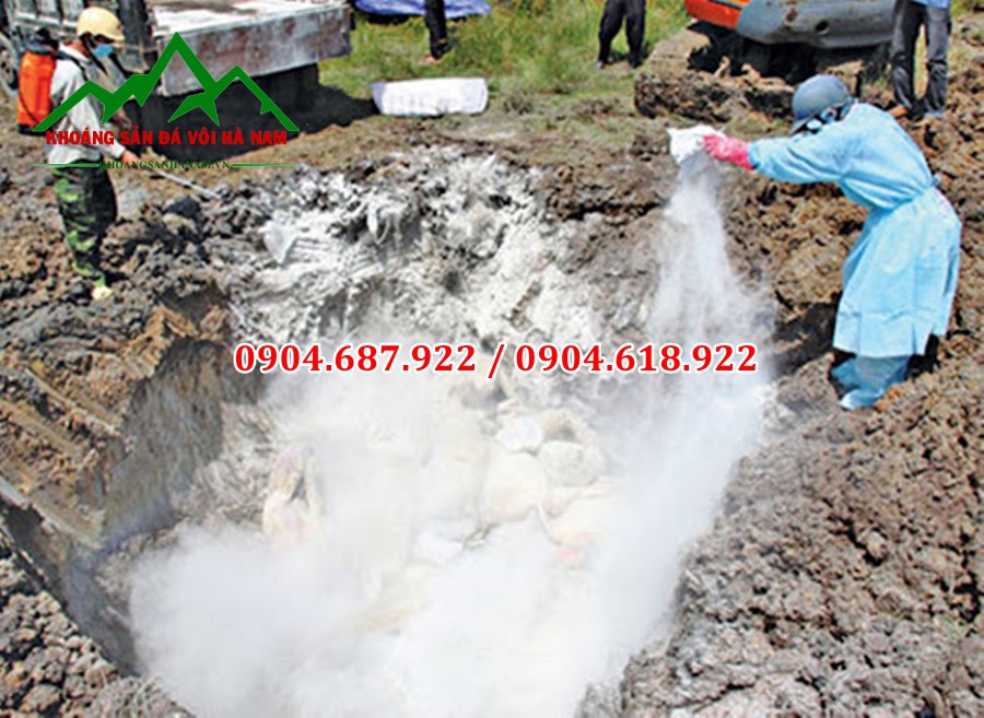 Vôi bột xử lý chuồng trại