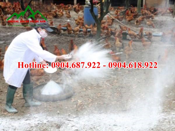 Vôi bột khử trùng chuồng trại