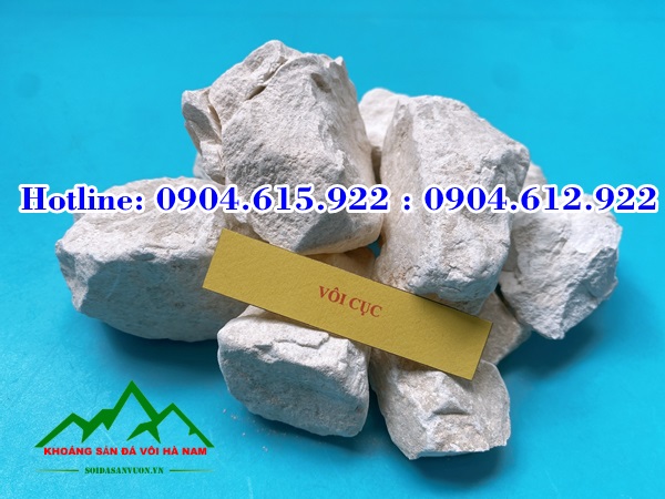 nha-may-san-xuat-voi-cu