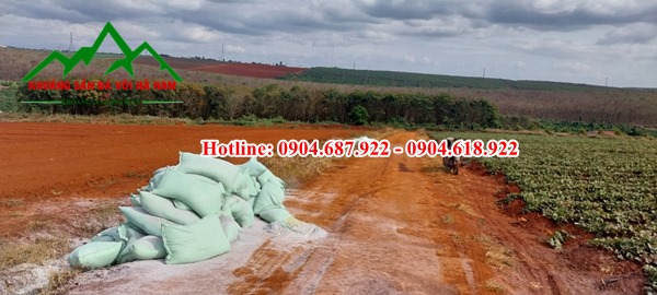 phân phối dolomite nông nghiệp tại tây nguyên