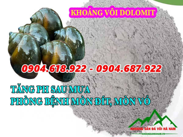 voi-dolomite-cung-cap-khoang-cho-oc-nhoi-oc-buou-den (8)