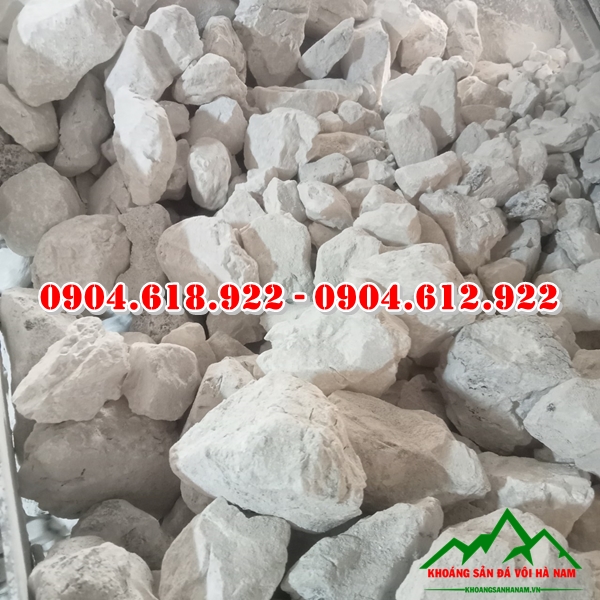 dia-chi-ban-voi-nong-cao-uy-tin-gia-thanh-tot (1)