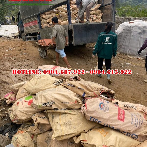 phân phối vôi cục giá rẻ