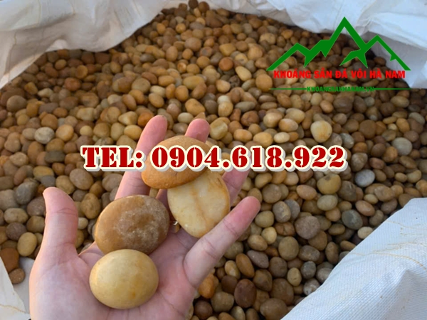 soi-vang-nho-trang-tri-san-vuon-tieu-canh (1)