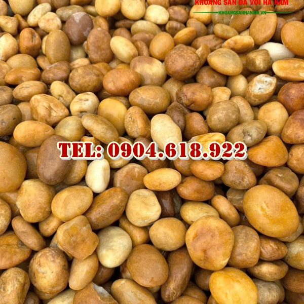 soi-vang-nho-trang-tri-san-vuon-tieu-canh (4)