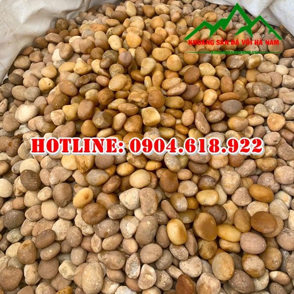 soi-vang-nho-trang-tri-san-vuon-tieu-canh (5)