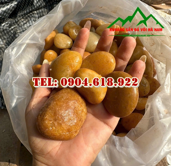 soi-vang-nho-trang-tri-san-vuon-tieu-canh (3)