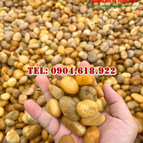 soi-vang-nho-trang-tri-san-vuon-tieu-canh (2)