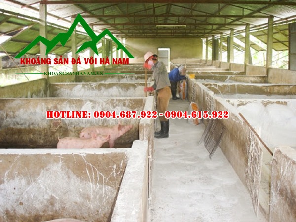 bán vôi bột khử trùng chuồng trại